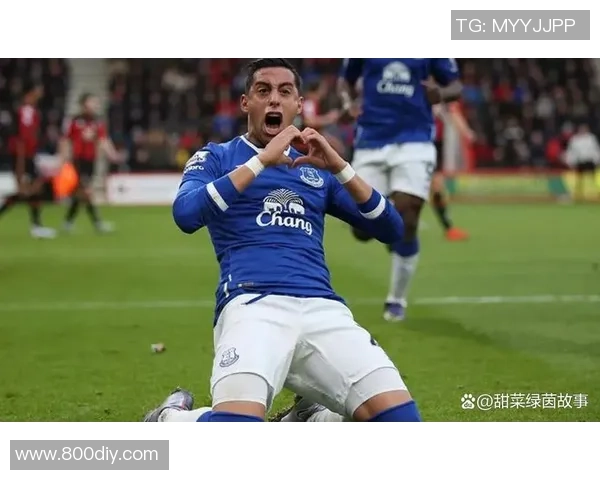 狼队与埃弗顿对决背后的老板故事与球队命运解析